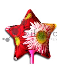 Шарик для печати на струйном принтере ЗВЕЗДА, А4 d=18см