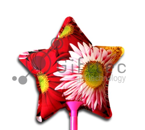 Шарик для печати на струйном принтере ЗВЕЗДА, А4 d=18см | Артикул: 10428